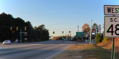 David Foster Wallace McCain malesangue