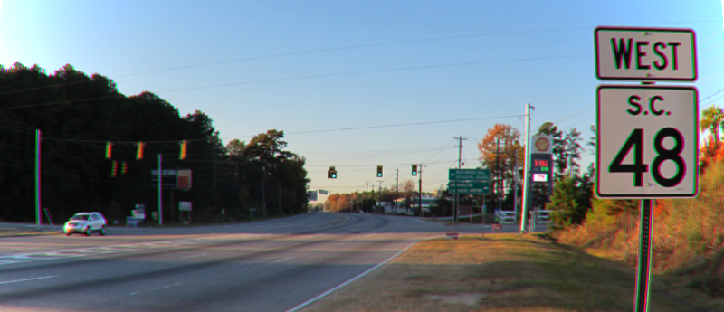 David Foster Wallace McCain malesangue