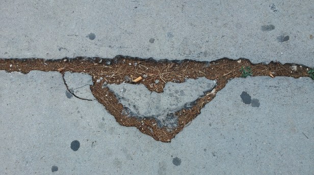 come-funziona-ardore_citta-giovani